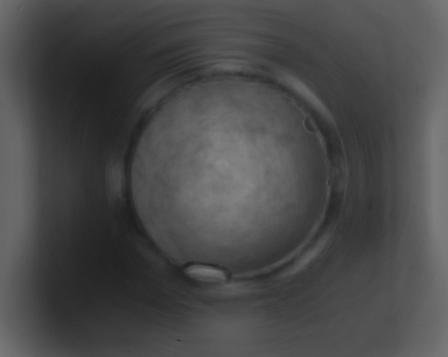 X0000100930969200807081209