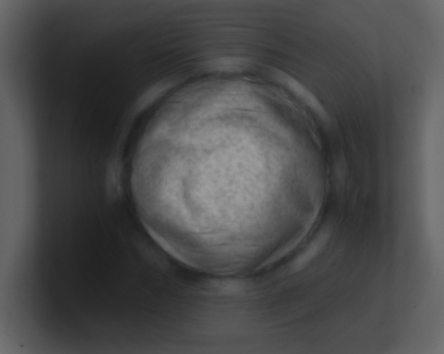 X0000100930970200807081209