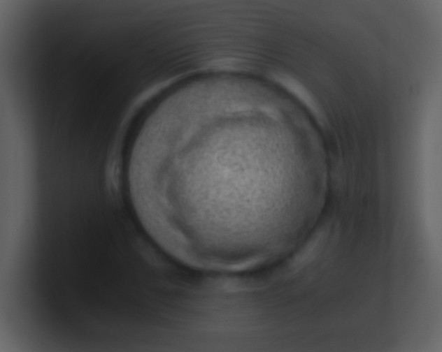 X0000100930971200807081209