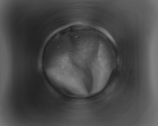 X0000100930972200807081209