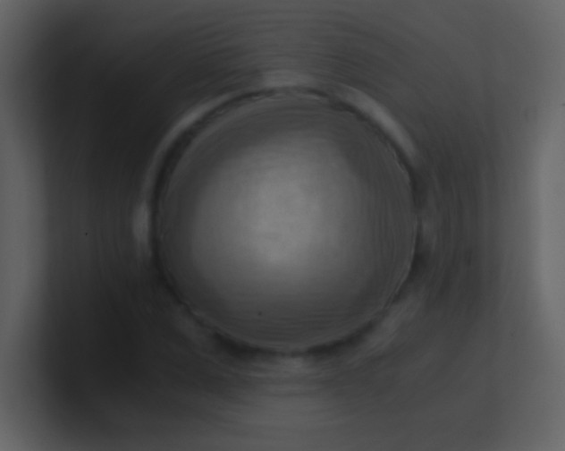 X0000100930975200807081209