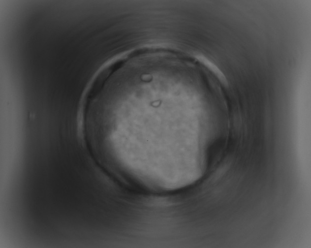 X0000100930976200807081209