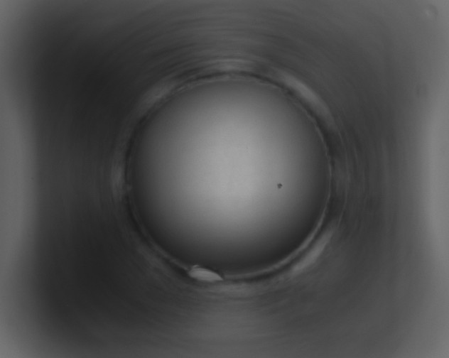 X0000100930977200807081209