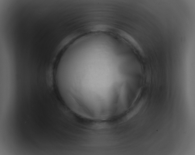 X0000100930978200807081209