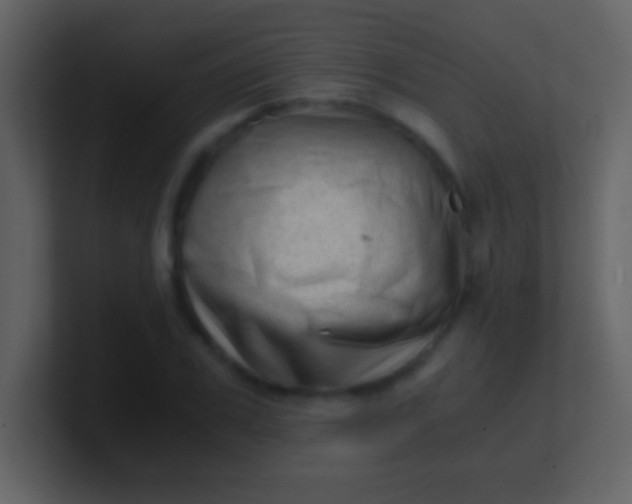 X0000100930979200807081209