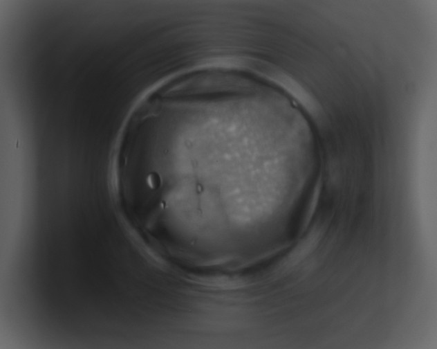 X0000100930980200807081209