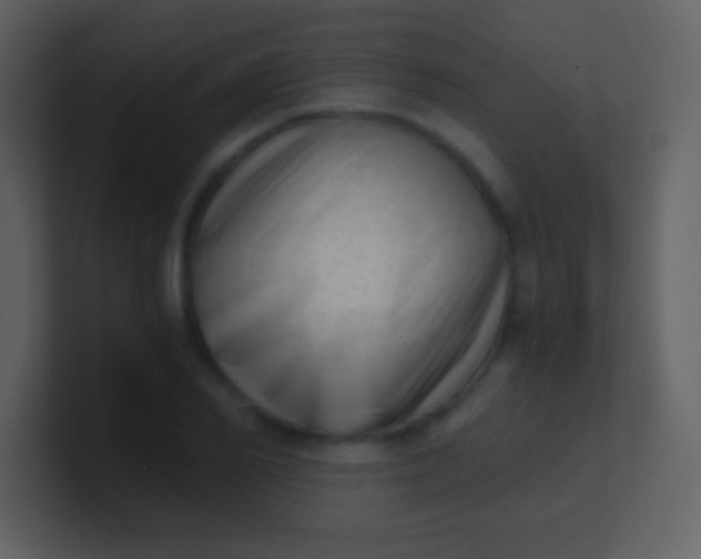 X0000100930982200807081209