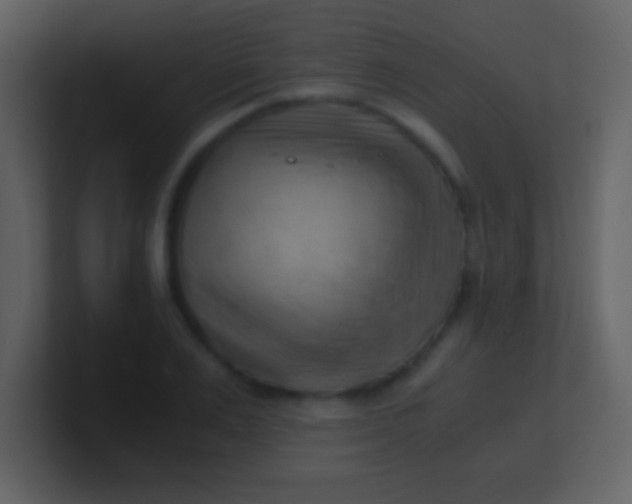 X0000100930983200807081209