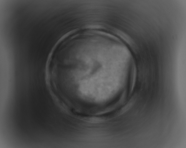 X0000100930984200807081209