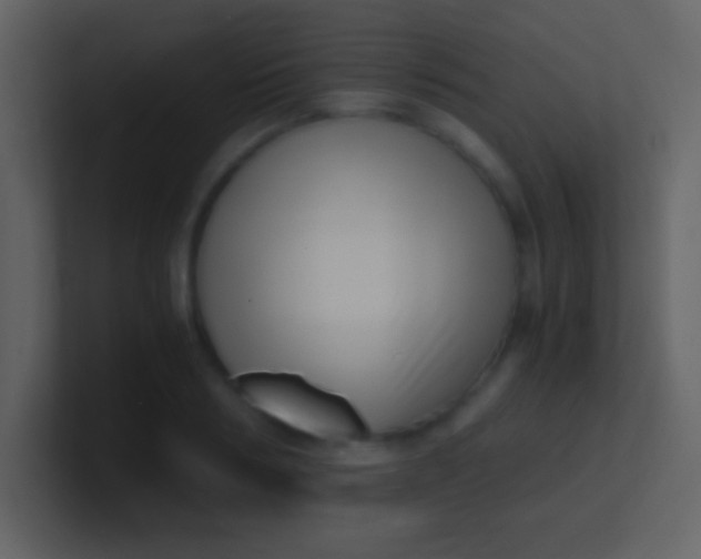 X0000100930986200807081209