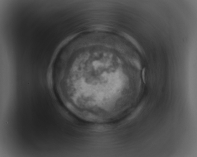 X0000100930987200807081209