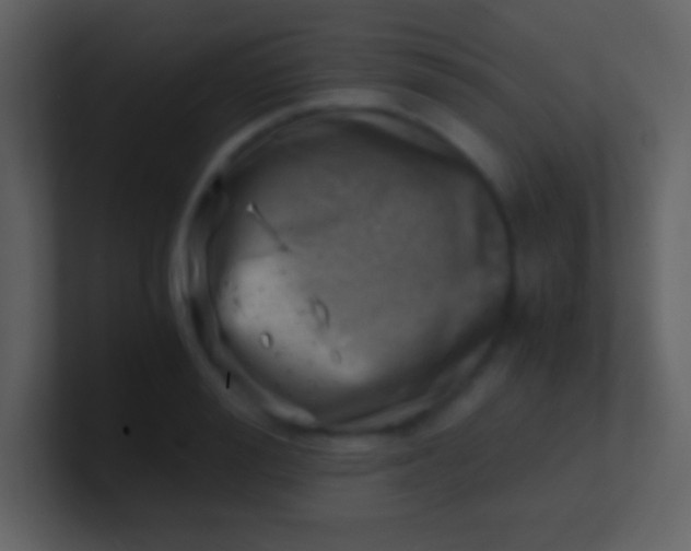 X0000100930988200807081209