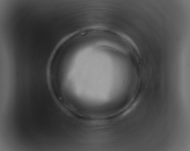 X0000100930989200807081209