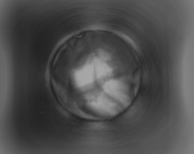 X0000100930990200807081209