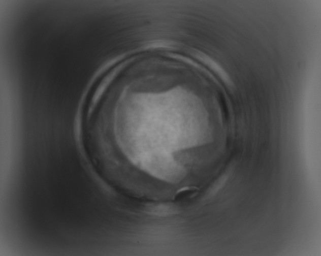 X0000100930991200807081209