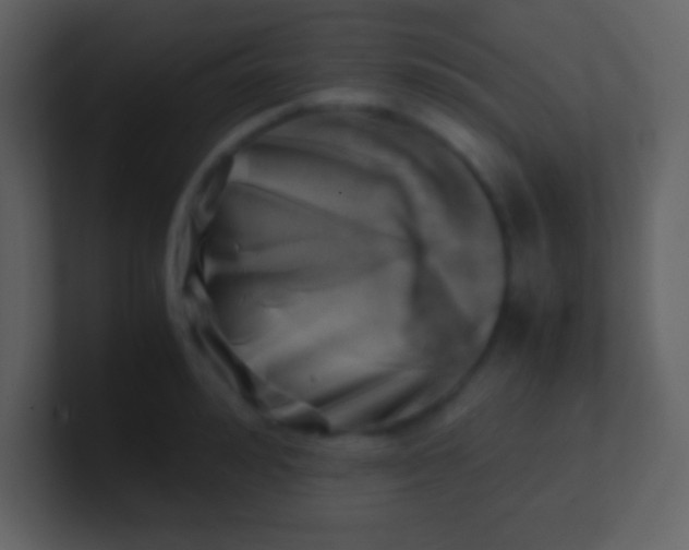 X0000100930992200807081209