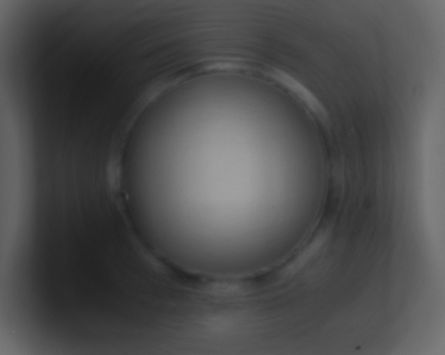 X0000100930993200807081209