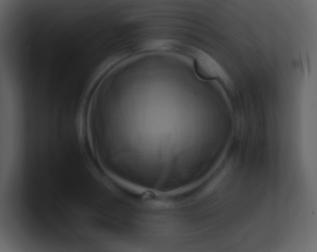 X0000100930994200807081209