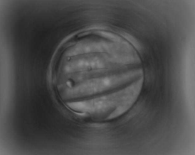 X0000100930996200807081209