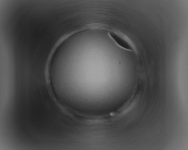 X0000100930997200807081209