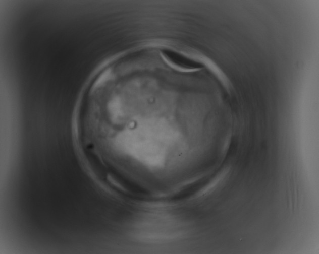 X0000100930999200807081209