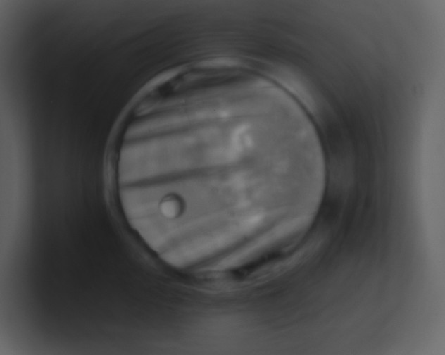 X0000100931000200807081209