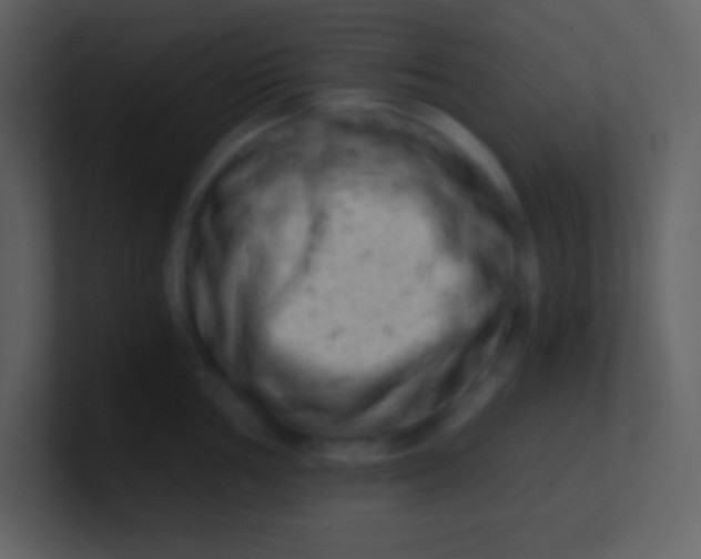 X0000100931002200807081209