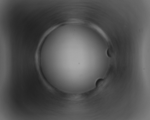 X0000100931003200807081209