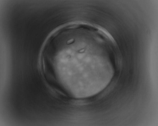 X0000100931004200807081209