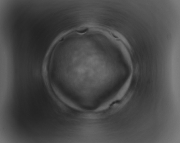 X0000100931005200807081209