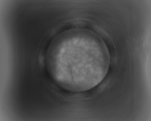 X0000100931010200807081208