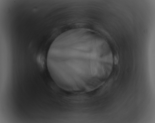 X0000100931011200807081208