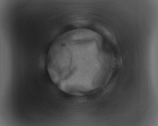 X0000100931012200807081208