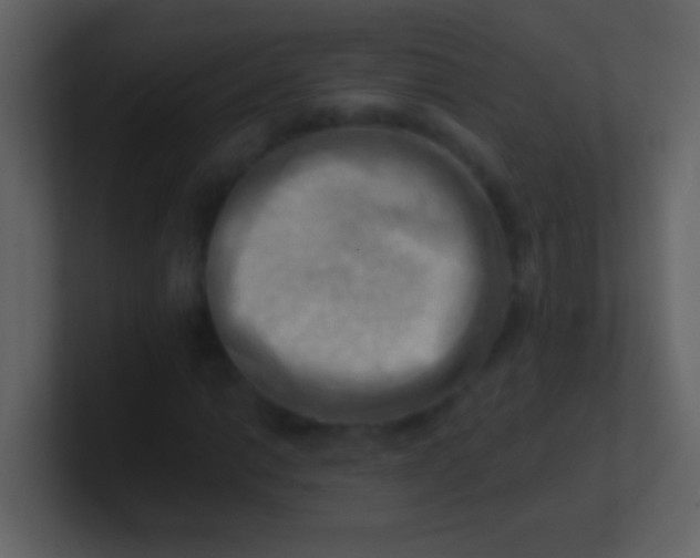 X0000100931014200807081208