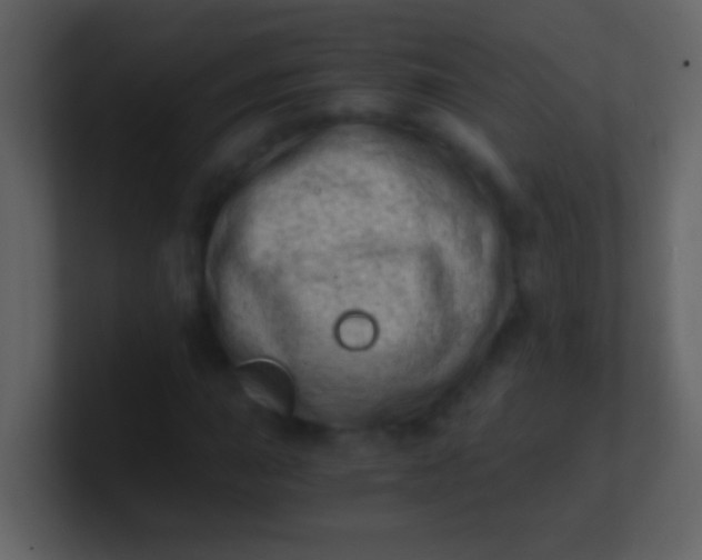 X0000100931015200807081208