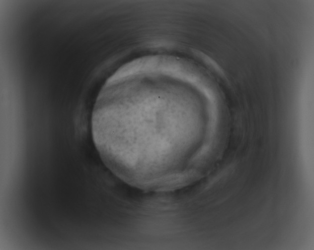 X0000100931016200807081208