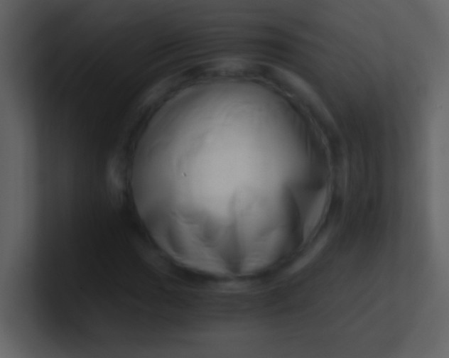 X0000100931017200807081208