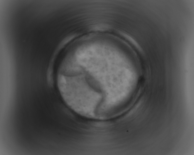 X0000100931018200807081208