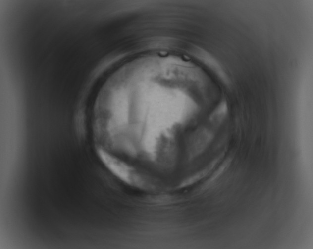 X0000100931019200807081208