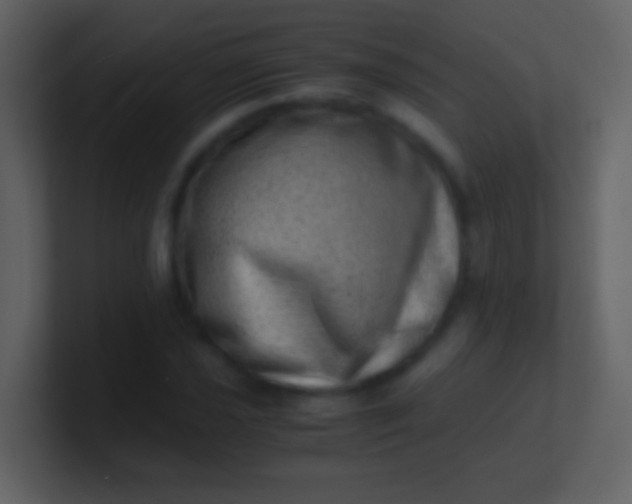 X0000100931021200807081208