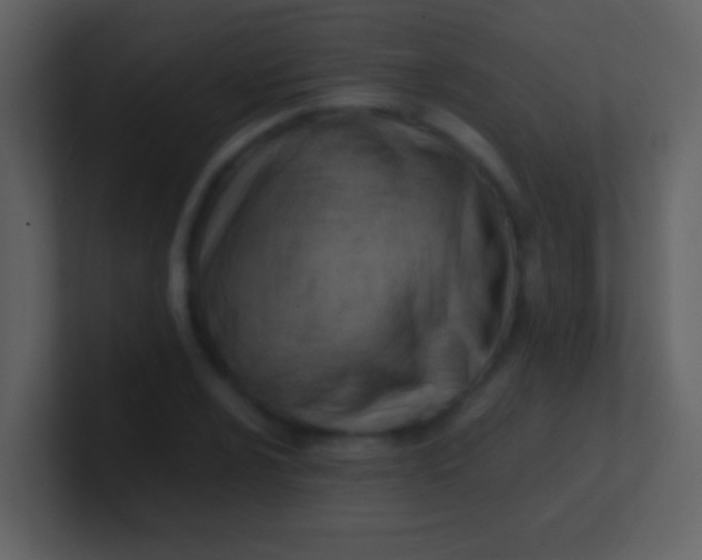 X0000100931024200807081208