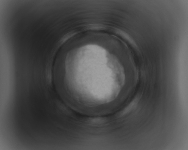 X0000100931025200807081208