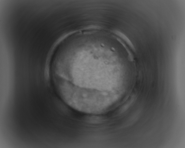 X0000100931027200807081208