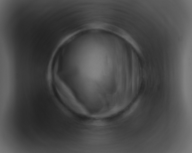 X0000100931028200807081208