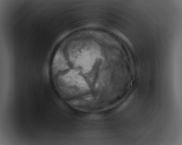 X0000100931029200807081208