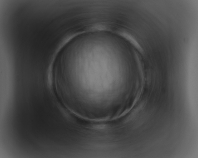 X0000100931031200807081208