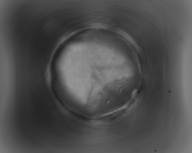 X0000100931032200807081208