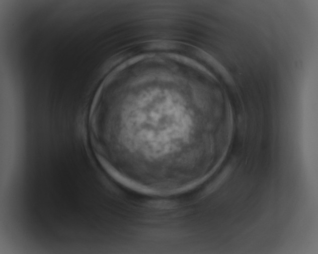 X0000100931033200807081208