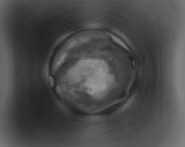 X0000100931034200807081208