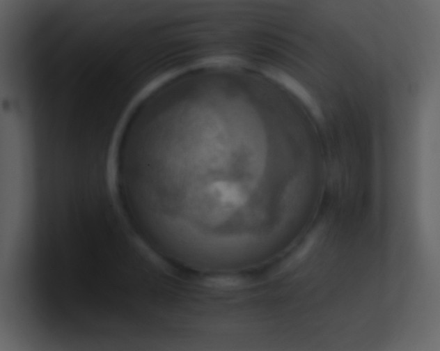 X0000100931037200807081208